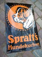 hund2.jpg